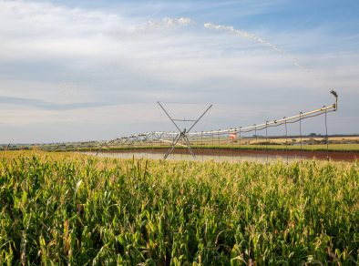 Junho é o mês de reflexão sobre iniciativas sustentáveis para a agricultura