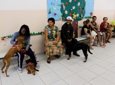 Interessados em mutirão de castração em agosto devem retirar senha e possuir RGA dos animais