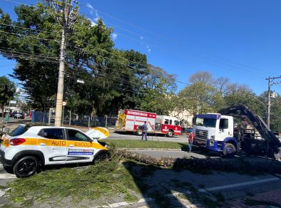 Mulher fica gravemente ferida após árvore cair em carro que ela estava em São José