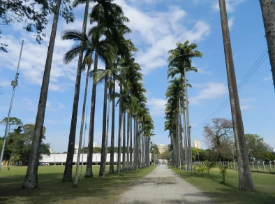 Dois grandes eventos gratuitos agitam o Parque da Cidade durante o aniversário de São José