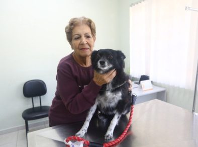 São José realiza feira de adoção de cães e gatos neste sábado