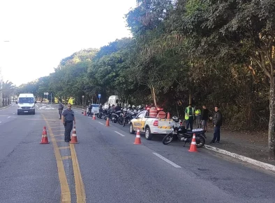 Dois veículos são apreendidos por transporte clandestino em São José