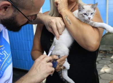 Jacareí realiza vacinação gratuita para cães e gatos neste sábado (16)