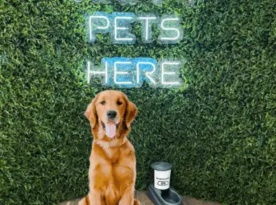 Shopping de São José tem Política Pet Friendly
