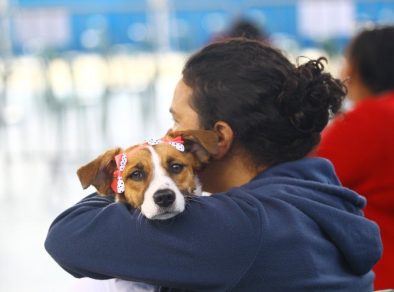 Meu Pet Feliz tem 1 mil vagas para castrações e microchipagens gratuitas