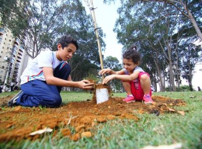 Em homenagem às vítimas da Covid-19, Bosque da Memória será inaugurado em São José