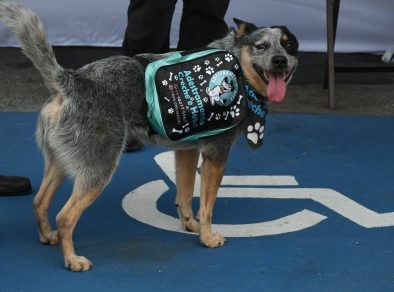 Shopping Esplanada tem Pet Day