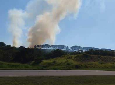 Fogo que atingiu 80 mil m² de mata no DCTA foi provocado por balão