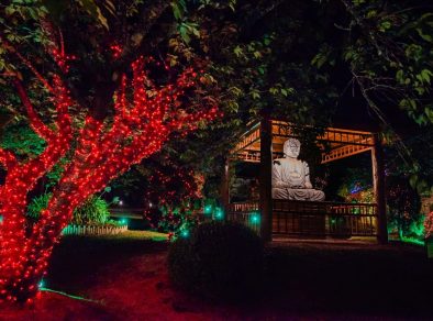 Magia do Natal: Parque da Cerejeira está na rota das grandes atrações temáticas em Campos do Jordão