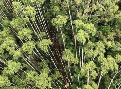 Helicóptero desaparecido é encontrado em Paraibuna