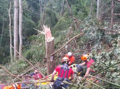 Funcionário da EDP é resgatado após árvore cair em sua perna