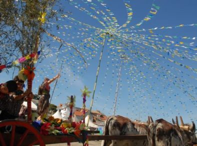 Cinco festas tradicionais da região