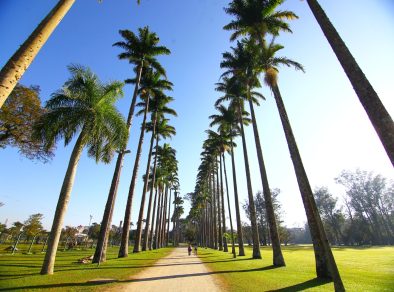 Proposta de concessão do Parque da Cidade prevê shopping, teleférico, roda-gigante e mais