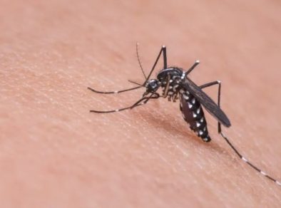 1ª morte de dengue é confirmada em São José dos Campos