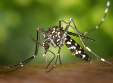 Mulher de 29 anos é a 1ª morte de dengue na cidade