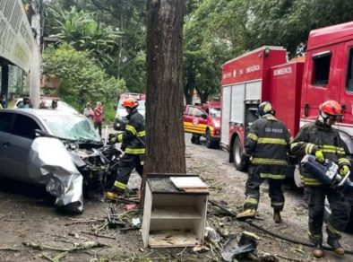 Motorista de 29 anos morre ao colidir com uma árvore na SP 50