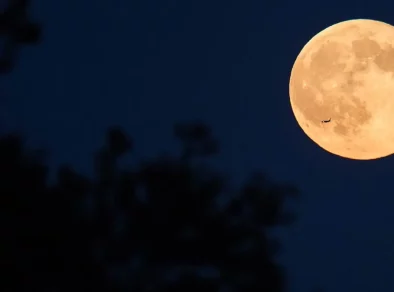 Lua cheia é o momento ideal para expandir energias