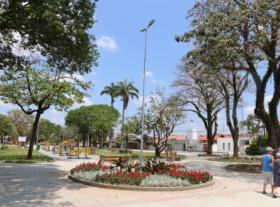 Prefeitura de Jacareí inicia consulta pública sobre o Plano Municipal de Arborização Urbana. Participe!