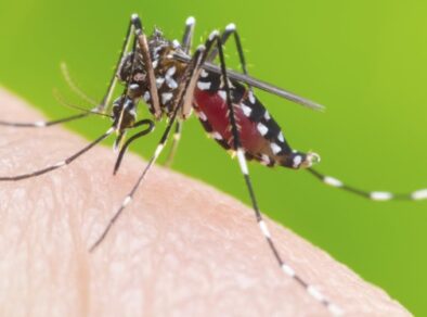 Cidades do Vale do Paraíba somam mais de 200 mortes por dengue nesse ano