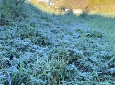 Campos do Jordão registra menor temperatura do ano