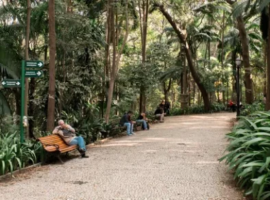 Ingresso em dobro: Horto Florestal lança promoção especial para os casais que quiserem aproveitar o Dia dos Namorados no parque