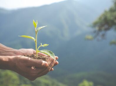 Sabesp celebra Dia do Meio Ambiente com atividades e serviços em todo o Estado