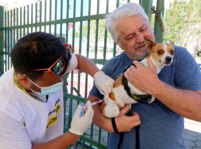 Atenção moradores da região do Jardim Siesta! Prefeitura de Jacareí realiza vacinação antirrábica para cães e gatos neste sábado (29)