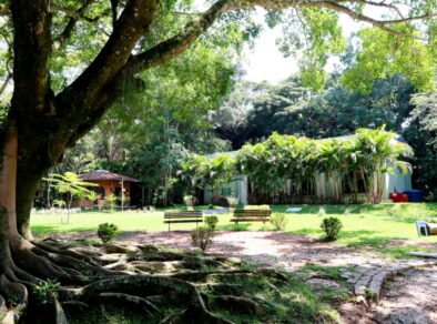 Oficina “Porta-retrato com elementos da natureza” e trilha guiada “Explorando o meio ambiente” são os destaques do “Viver o Viveiro”, neste domingo (9), em Jacareí