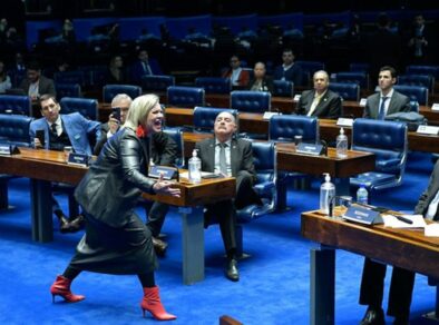 Durante debate sobre PL do aborto, contadora de história faz performance