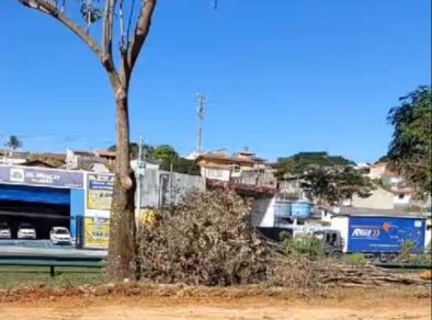 Duplicação da Av. Sebastião Gualberto tem retirada de árvores na Av. Fundo do Vale”