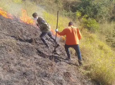 Há 24 dias sem chuva, Defesa Civil registra aumento de 13% nas queimadas em junho em Taubaté