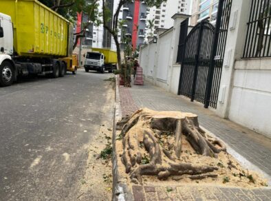 Prefeitura de São José retira árvores do Jardim Aquarius