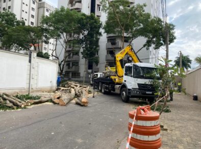 Vereadores barram pedido de informação sobre corte de árvores em São José