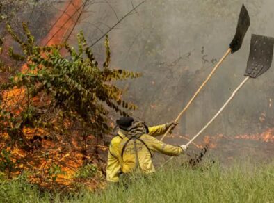 Combate a incêndios no Pantanal ganha reforço de 80 brigadistas da Força Nacional