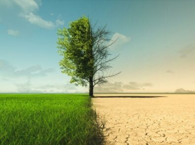 Dia Mundial do Meio Ambiente: Restauração de terras, desertificação e resiliência à seca