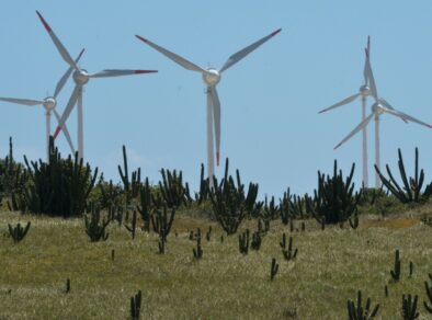 Crédito para transição energética das indústrias paulistas será facilitado por novo fundo de aval