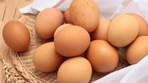 Concurso Estadual de Qualidade de Ovos recebe amostras para avaliação até esta quarta-feira