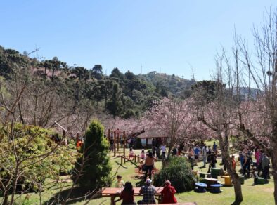 53ª Festa da Cerejeira de Campos do Jordão já tem data marcada