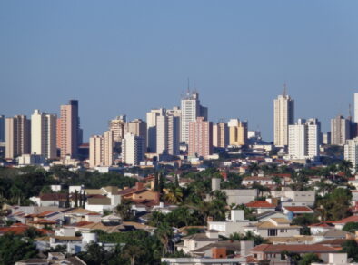 Em Presidente Prudente, Secretaria de Agricultura de SP participa da abertura da maior feira tecnológica de batata-doce do Brasil