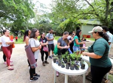 5 mil pessoas, 1,5 mil mudas doadas e mais de 100 trilhas. Veja números do “Viver o Viveiro”, desde que o Viveiro Municipal passou a abrir todos os domingos, em Jacareí