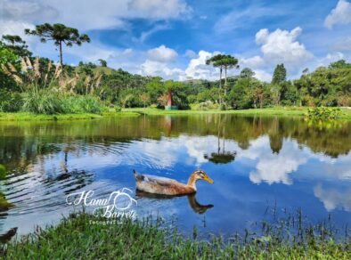 Parque da Lagoinha terá programação especial de aniversário em Ubatuba