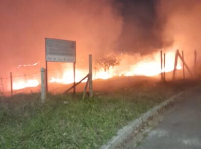 Incêndio atinge e destrói 800 mudas de árvores do Ecomuseu em São José