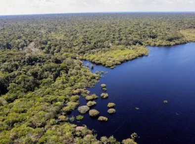 Plano Clima Participativo: Governo percorre o Brasil para discutir emergência climática com a população