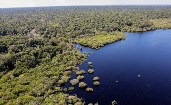 Plano Clima Participativo: Governo percorre o Brasil para discutir emergência climática com a população