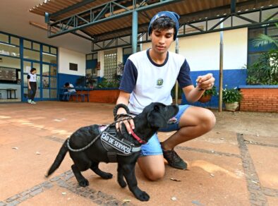 Aluno da rede municipal de Campinas com epilepsia conta com apoio de cão de serviço