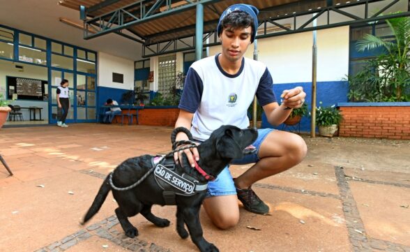 Aluno da rede municipal de Campinas com epilepsia conta com apoio de cão de serviço