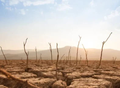 Impactos das mudanças climáticas no setor elétrico e no agronegócio são tema do II EMSEA, evento da Climatempo que reunirá empresas e órgãos reguladores