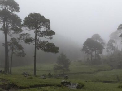 Fenômeno climático chega ao Brasil e derruba temperaturas no Vale