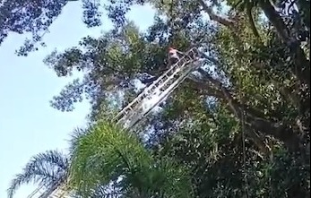 Vídeo mostra momento da queda que matou bombeiro em Guaratinguetá