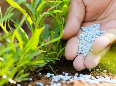 A evolução da indústria de fertilizantes e o respeito à sustentabilidade do planeta!